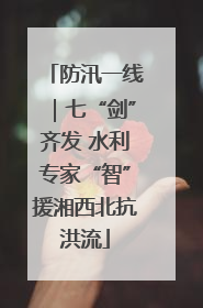 防汛一线｜七“剑”齐发 水利专家“智”援湘西北抗洪流