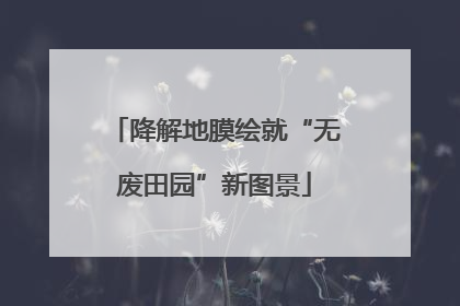 降解地膜绘就“无废田园”新图景