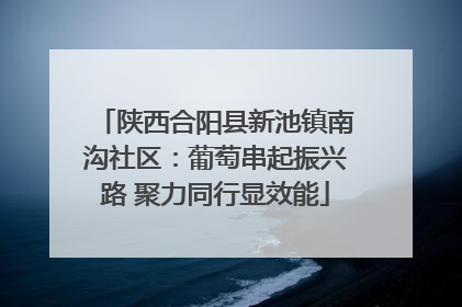 陕西合阳县新池镇南沟社区：葡萄串起振兴路 聚力同行显效能