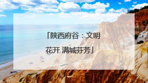陕西府谷：文明花开 满城芬芳