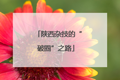 陕西杂技的“破圈”之路