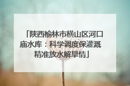 陕西榆林市横山区河口庙水库：科学调度保灌溉 精准放水解旱情