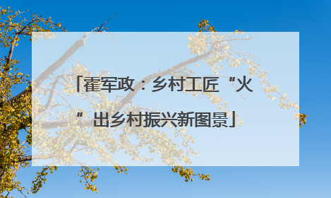 霍军政：乡村工匠“火”出乡村振兴新图景