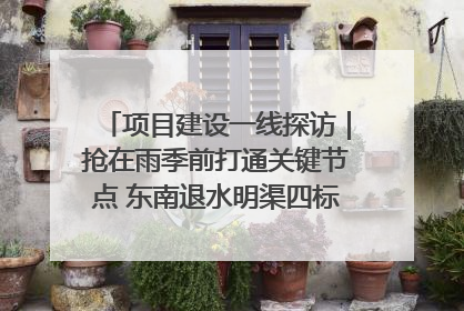 项目建设一线探访｜抢在雨季前打通关键节点 东南退水明渠四标段项目顺利完工