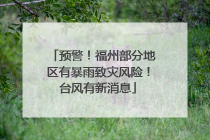 预警！福州部分地区有暴雨致灾风险！台风有新消息