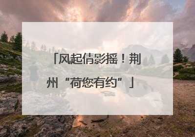 风起倩影摇！荆州“荷您有约”