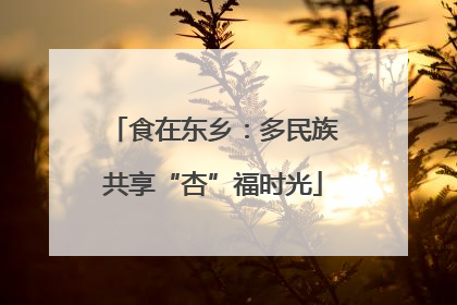 食在东乡：多民族共享“杏”福时光