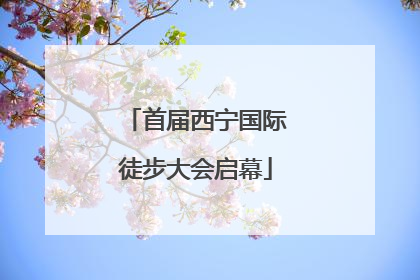 首届西宁国际徒步大会启幕