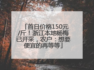 首日价格150元/斤！浙江本地杨梅已开采，农户：想要便宜的再等等