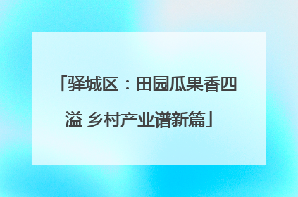 驿城区：田园瓜果香四溢 乡村产业谱新篇