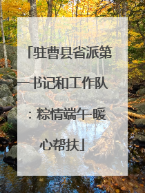 驻曹县省派第一书记和工作队：粽情端午·暖心帮扶