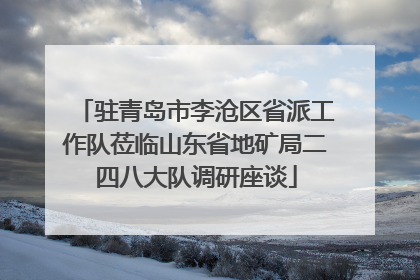 驻青岛市李沧区省派工作队莅临山东省地矿局二四八大队调研座谈