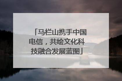 马栏山携手中国电信，共绘文化科技融合发展蓝图
