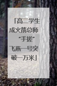高二学生成火箭总师 “手搓”飞燕一号突破一万米