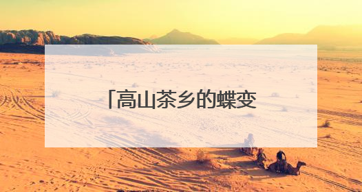 高山茶乡的蝶变——东风村从“鹧鸪营”到生态茶乡的华丽转身
