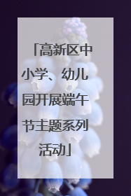 高新区中小学、幼儿园开展端午节主题系列活动