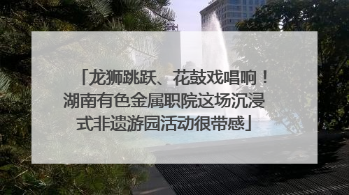 龙狮跳跃、花鼓戏唱响！湖南有色金属职院这场沉浸式非遗游园活动很带感