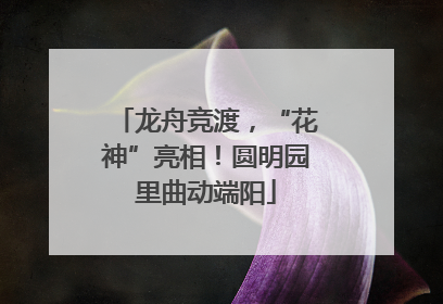 龙舟竞渡，“花神”亮相！圆明园里曲动端阳