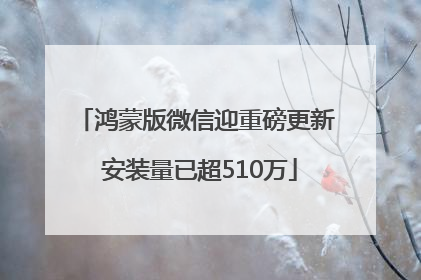 鸿蒙版微信迎重磅更新 安装量已超510万