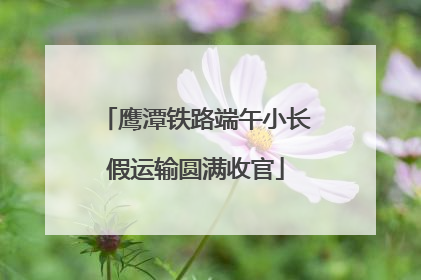 鹰潭铁路端午小长假运输圆满收官
