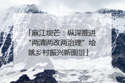 麻江坝芒：纵深推进“两清两改两治理”绘就乡村振兴新图景