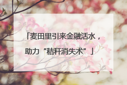 麦田里引来金融活水，助力“秸秆消失术”