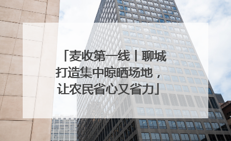 麦收第一线丨聊城打造集中晾晒场地，让农民省心又省力