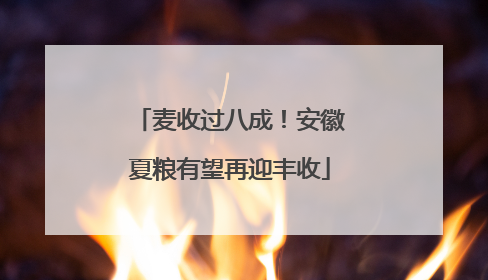 麦收过八成！安徽夏粮有望再迎丰收