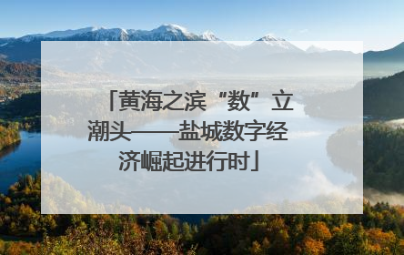 黄海之滨“数”立潮头——盐城数字经济崛起进行时