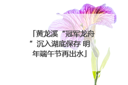 黄龙溪“冠军龙舟”沉入湖底保存 明年端午节再出水