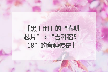 黑土地上的“春耕芯片”：“吉科稻518”的育种传奇