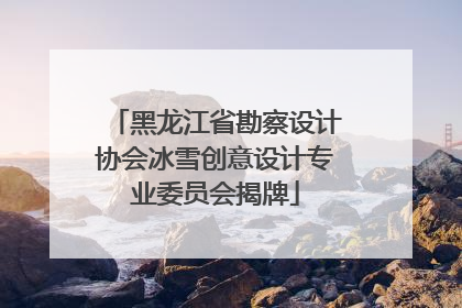 黑龙江省勘察设计协会冰雪创意设计专业委员会揭牌