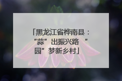 黑龙江省桦南县：“蒜”出振兴路 “园”梦新乡村
