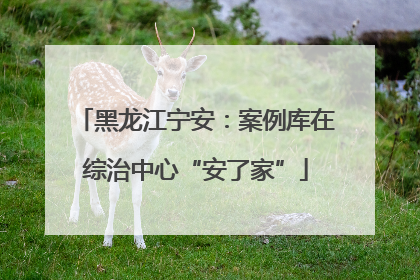黑龙江宁安：案例库在综治中心“安了家”