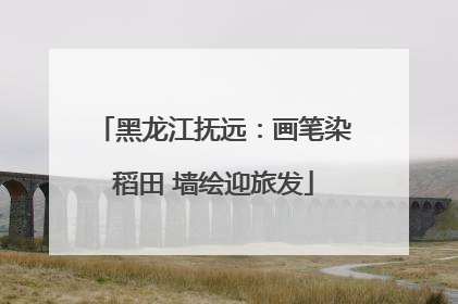黑龙江抚远：画笔染稻田 墙绘迎旅发