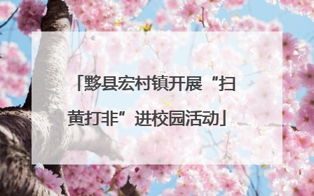 黟县宏村镇开展“扫黄打非”进校园活动