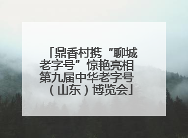 鼎香村携“聊城老字号”惊艳亮相第九届中华老字号（山东）博览会