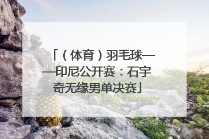 （体育）羽毛球——印尼公开赛：石宇奇无缘男单决赛