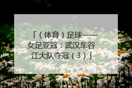 （体育）足球——女足亚冠：武汉车谷江大队夺冠（3）