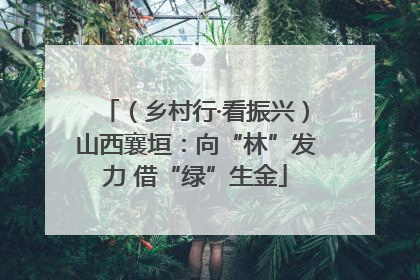 （乡村行·看振兴）山西襄垣：向“林”发力 借“绿”生金