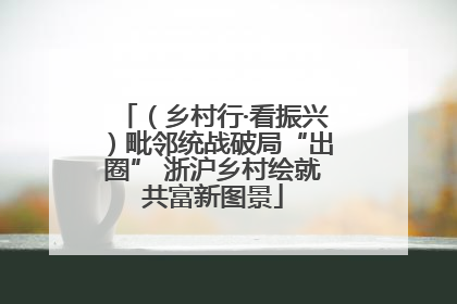 （乡村行·看振兴）毗邻统战破局“出圈” 浙沪乡村绘就共富新图景