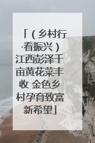 （乡村行·看振兴）江西彭泽千亩黄花菜丰收 金色乡村孕育致富新希望