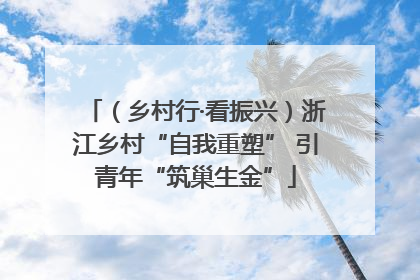 （乡村行·看振兴）浙江乡村“自我重塑” 引青年“筑巢生金”