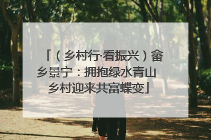 （乡村行·看振兴）畲乡景宁：拥抱绿水青山 乡村迎来共富蝶变