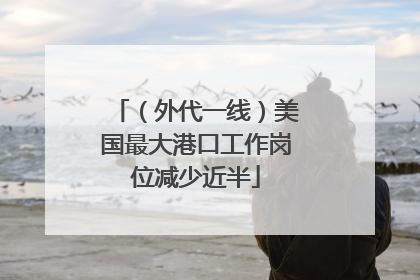 （外代一线）美国最大港口工作岗位减少近半