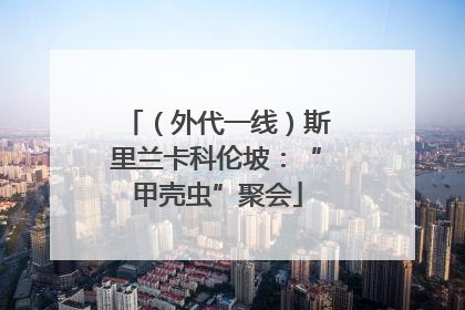 （外代一线）斯里兰卡科伦坡：“甲壳虫”聚会
