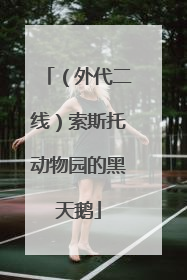 （外代二线）索斯托动物园的黑天鹅
