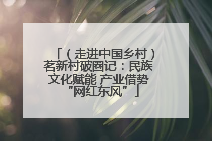（走进中国乡村）茗新村破圈记：民族文化赋能 产业借势 “网红东风”