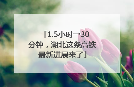 1.5小时→30分钟，湖北这条高铁最新进展来了