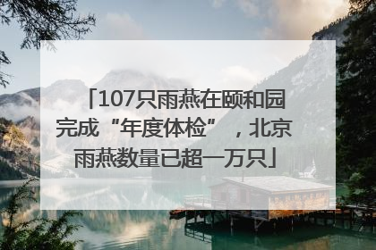 107只雨燕在颐和园完成“年度体检”，北京雨燕数量已超一万只